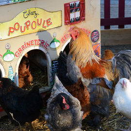 Marché gourmand, mini-ferme, ateliers cuisine et visite du Père Noël.