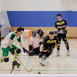 Sacrés champions de France de Nationale 2 lors du dernier match de la saison, les joueurs de l'USV Roller - Rink-Hockeymontent en Nationale 1 – Elite ![Photos Alex Bonnemaison]
