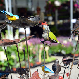 Le soleil au rendez-vous pour ce rendez-vous très apprécié des habitants, avec plus d’une trentaine de fleuristes, pépiniéristes et horticulteurs et de nombreux ateliers jardinage.