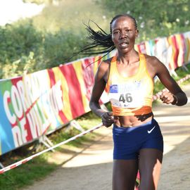 Une grande fête du sport avec près de 1500 coureur·se·s sur les 5/10km, courses jeunes et familles.Les vainqueurs des 10km ont battu le record de l'épreuve, avec la 8e meilleure performance mondiale chez les femmes!1700 euros ont été reversés à l’association Une maison au cœur de la vie, qui vient en aide aux familles dont les enfants sont hospitalisés à l’Institut Gustave-Roussy. Un grand merci aux 150 bénévoles, aux associations villejuifoises, et à tous les services de la ville.[Photos ©Anja Simonet / ©Raphaël Garnier]