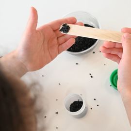 Maisons Pour Tous, Service des Sports, médiathèques,Conciergerie solidaire... ont rivalisé d'ingéniosité pour vous proposer une grande variété d'activités sportives, culturelles, créatives et festives!