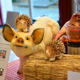 Le festival de l'alimentation et de la gastronomie pour les enfants. Des  producteurs... à l'assiette, bien manger et se dépenser : ateliers, démonstrations, dégustations...