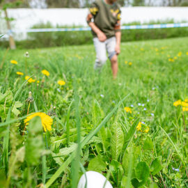 Samedi 6 avril, il n'y avait pas une mais 2 chasses aux œufs à Villejuif: la Chasse aux œufs solidaire du Secours Populaire, dans le parc des Hautes-Bruyères, avec des animations et jeux pour tous toute la journée, avec la participation de la Ludomobile.La chasse aux œufs dans le jardin partagé de la résidence Botanic Parc, un moment de rencontre et d'échanges entre voisins et de découverte du jardin pour certains. [photos Xiwen Wang / Alex Bonnemaison]