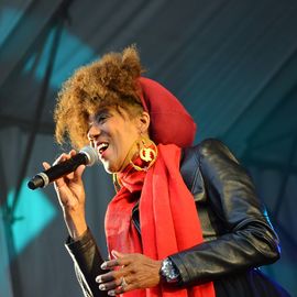 Des centaines de spectateurs massés devant la scène pour chanter avec Lisandro Cuxi, François Feldman etJoniece Jamison, danser avec le Staries Show ou applaudir le travail des musiciens et danseurs la MPT Gérard-Philipe et des Conservatoires.