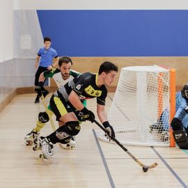 Sacrés champions de France de Nationale 2 lors du dernier match de la saison, les joueurs de l'USV Roller - Rink-Hockeymontent en Nationale 1 – Elite ![Photos Alex Bonnemaison]