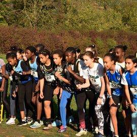 Dimanche 13 novembre, l'ASFI Villejuif Athlétisme organisait son 1er cross à destination des jeunes, au Parc Départemental des Hautes Bruyères. Pour cet évènement sportif, 17 clubs ont fait le déplacement avec plus de 500 athlètes âgé·e·s de 6 à 14 ans (catégorie Eveils à Minimes) ! [Photos Lucile Cubin]