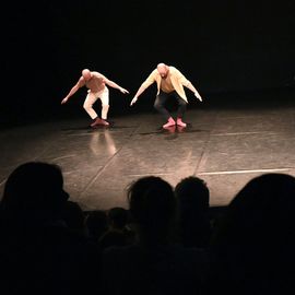 Retour en images sur la journée du 12 mars, avec l'atelier et sa restitution par les élèves du Conservatoire, suivi du spectacle "Une simple déclinaison de l’instant", de la Cie Les têtes penchées.[photos Anja Simonet]