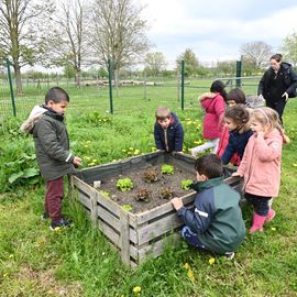 Zoom sur 3 activités enfance et jeunesse:
▪️ Surf à Paris
▪️ Initiation au pilotage de drones
▪️ Sortie à la Ferme Pédagogique

[Photos Alex Bonnemaison / Anja Simonet / Xiwen Wang]