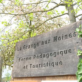 Zoom sur 3 activités enfance et jeunesse:
▪️ Surf à Paris
▪️ Initiation au pilotage de drones
▪️ Sortie à la Ferme Pédagogique

[Photos Alex Bonnemaison / Anja Simonet / Xiwen Wang]